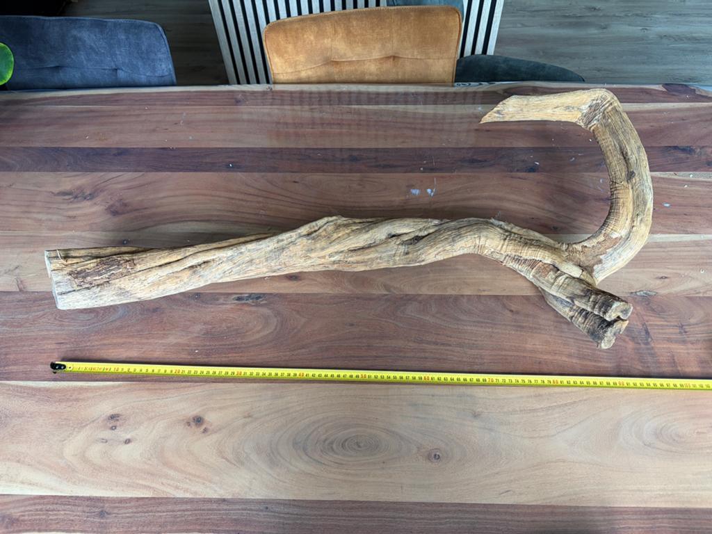 Mooi stuk hout voor terrarium, Ophalen, Zo goed als nieuw, Plant(en), Steen of Hout