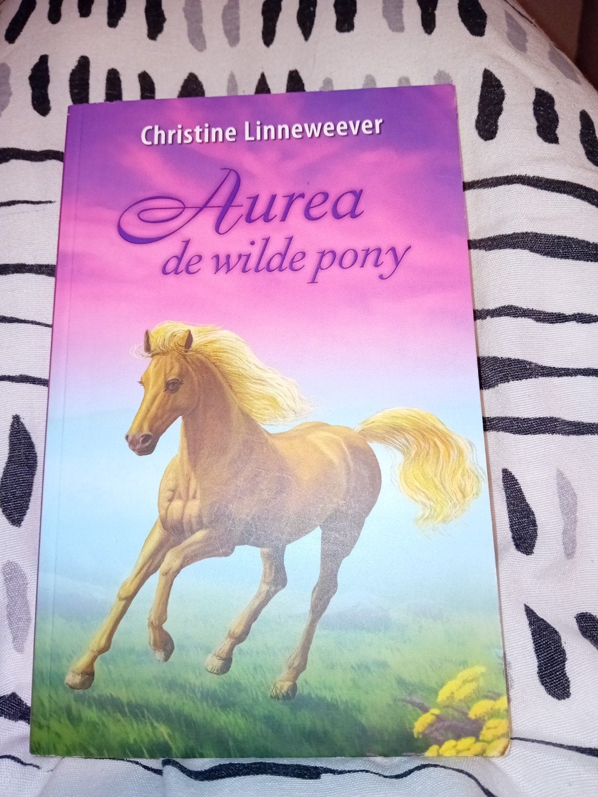 Aurea de wilde pony, Boeken, Christine linneweever, Overige typen, Ophalen of Verzenden, Zo goed als nieuw