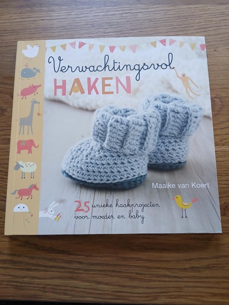 Maaike van Koert - Verwachtingsvol haken, Breien en Haken, Ophalen of Verzenden, Zo goed als nieuw, Maaike van Koert