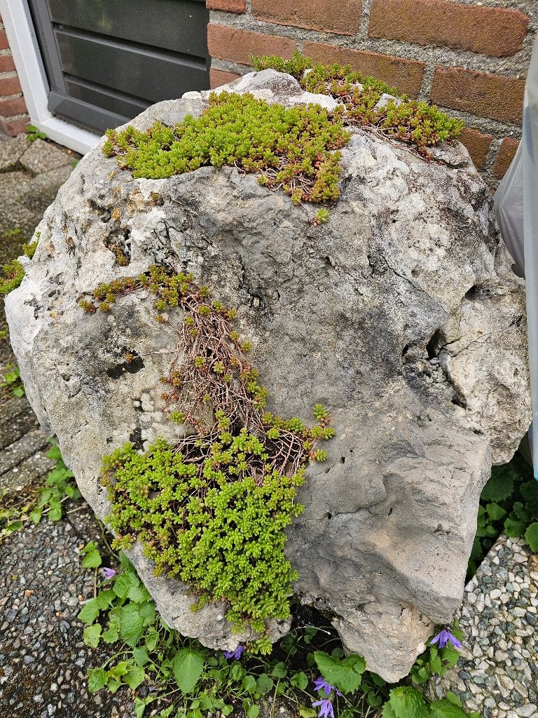 Een steen voor in de tuin, Ophalen, Gebruikt, Beige, Kei