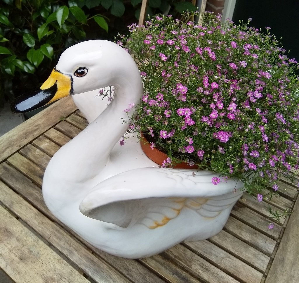 Grote vintage zwaan bloempot (geglazuurd keramiek), Ophalen