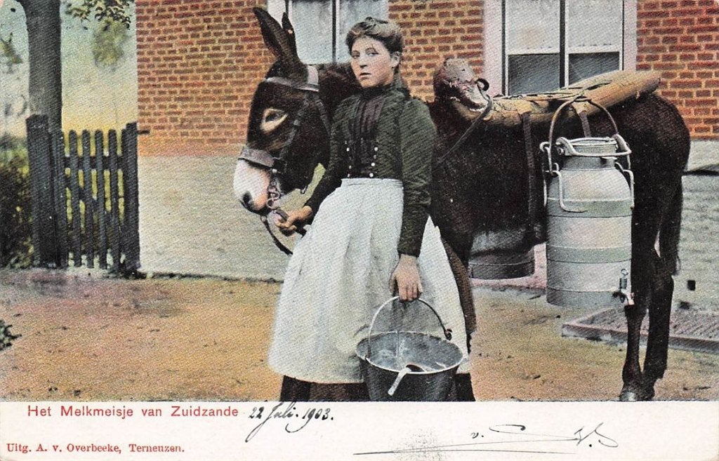 703-062-051 Het Melkmeisje van Zuidzande, Verzamelen, Verzenden, Voor 1920, Zeeland