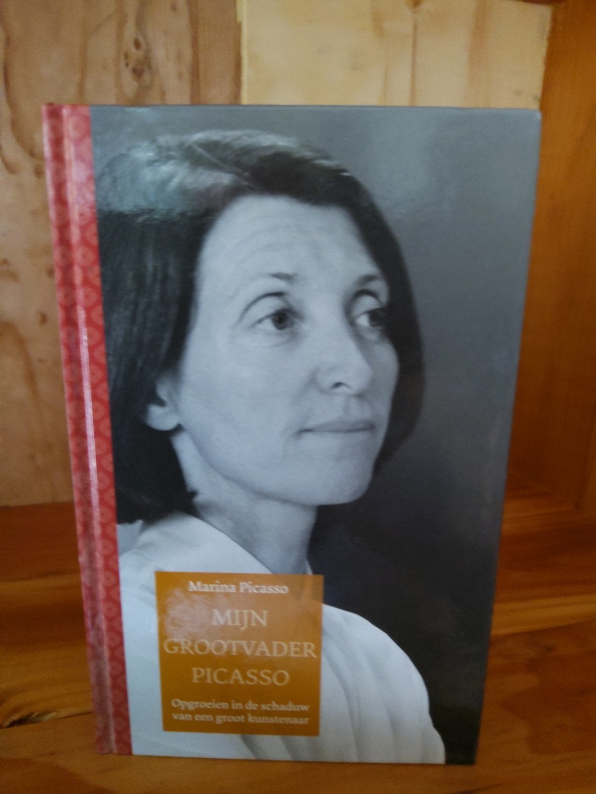 Mijn Grootvader Picasso - Marina Picasso, Ophalen of Verzenden, Gelezen, Marina Picasso, Kunst en Cultuur