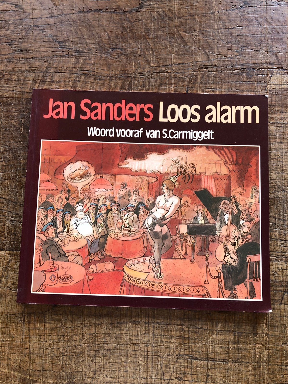 Jan Sanders Loos Alarm - Geïllustreerd Boek, Ophalen of Verzenden, Gelezen, Nederland
