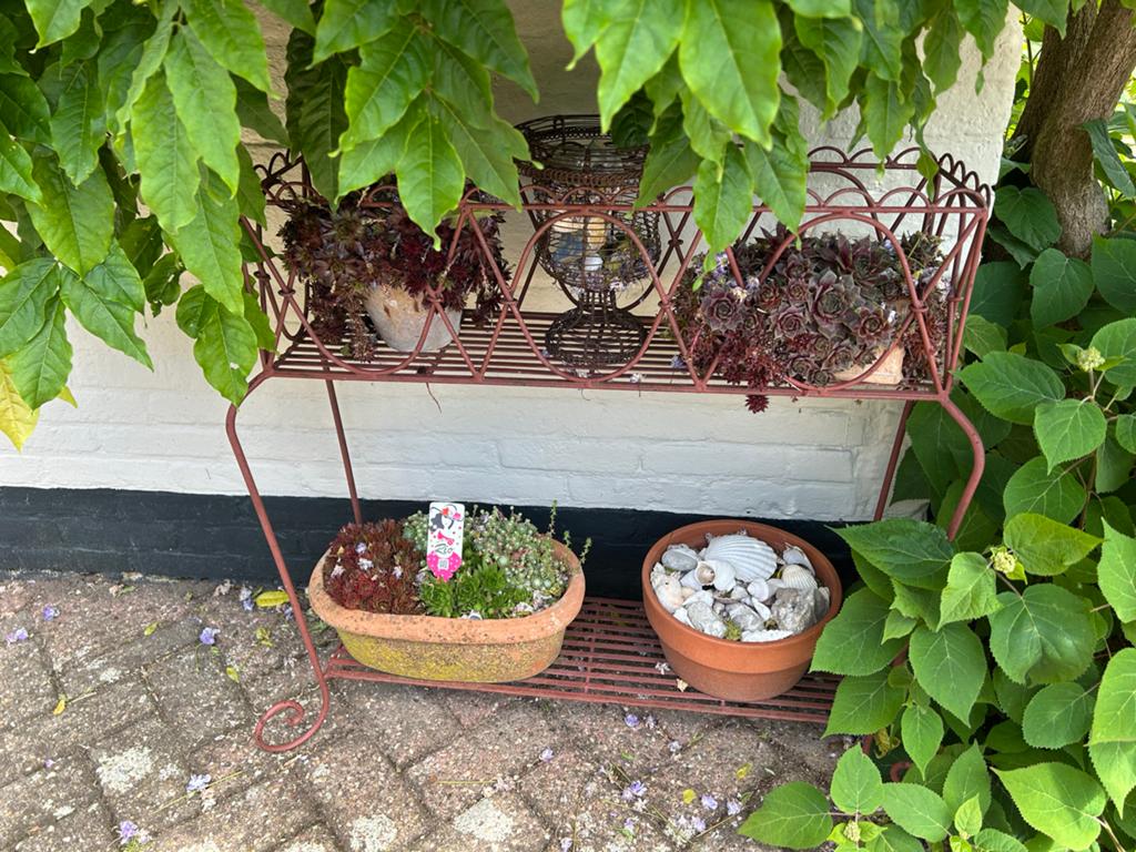 Decoratief metalen plantenrek met 2 niveaus, Tuin en Terras, Ophalen, Gebruikt, Binnen, Metaal