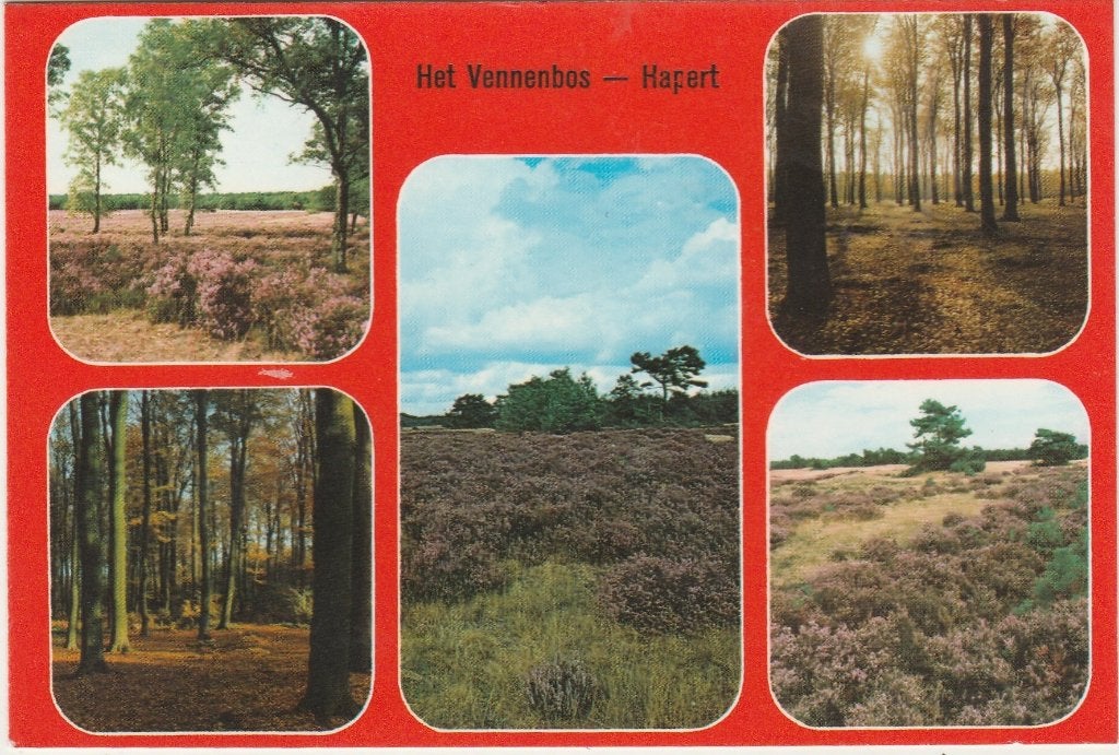 HAPERT Het Vennenbos, Verzenden, 1980 tot heden, Gelopen, Noord-Brabant
