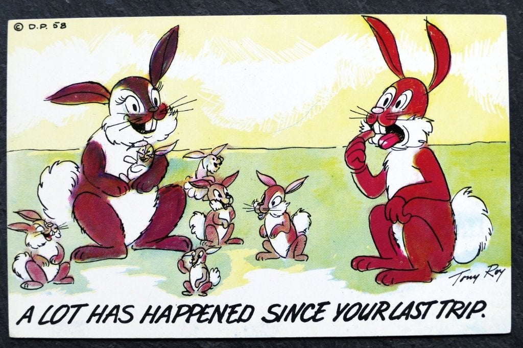 Kom je terug, zijn er ineens veel meer konijnen... USA, Verzamelen, Verzenden, 1940 tot 1960, Ongelopen, Knaagdier