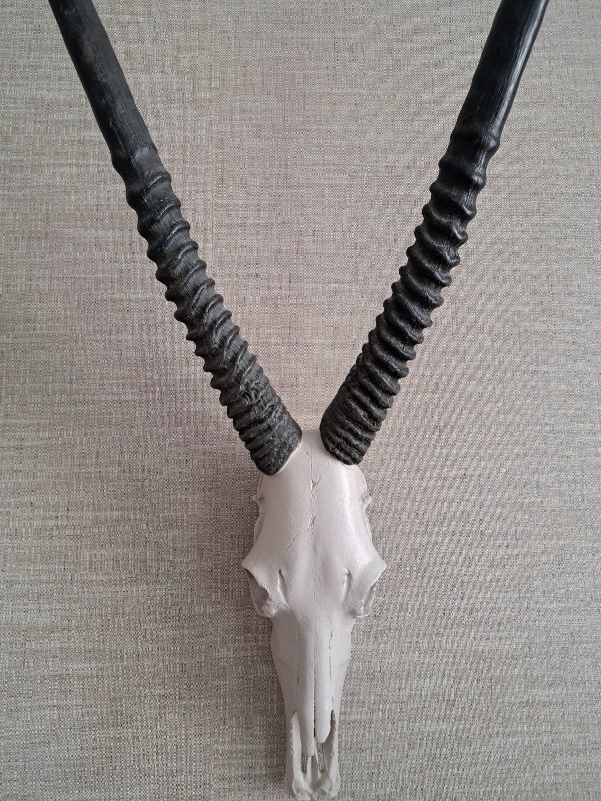 Schedel met hoorns, Ophalen