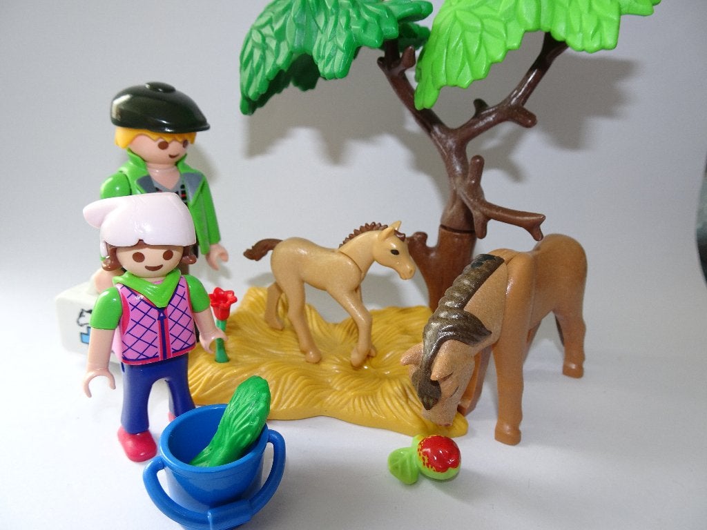 Playmobil dierenarts met pony (6949), Kinderen en Baby's, Ophalen of Verzenden, Gebruikt