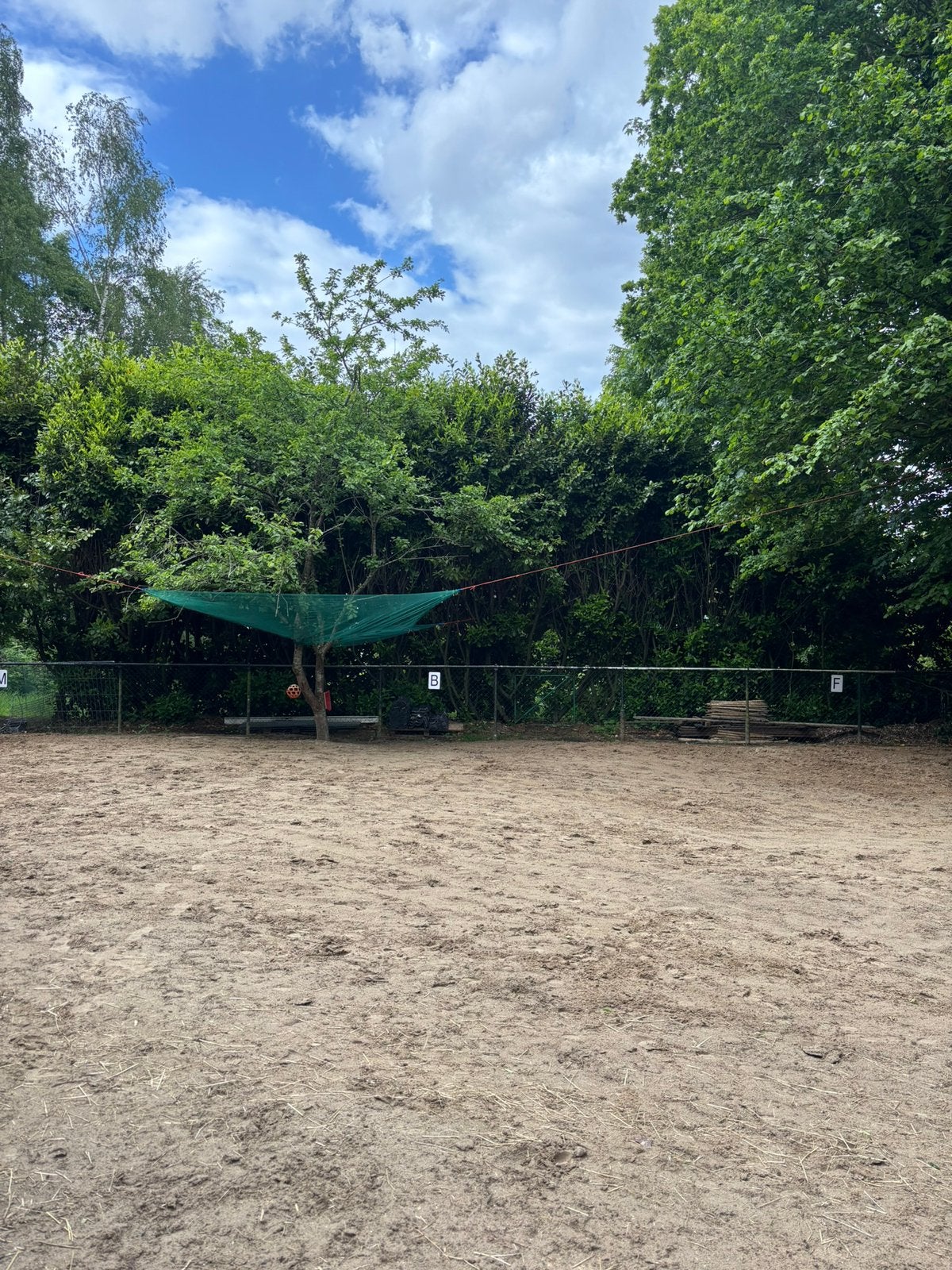 Vakantieverblijf voor hengst of ruin By BLI stables🌱🌿✨