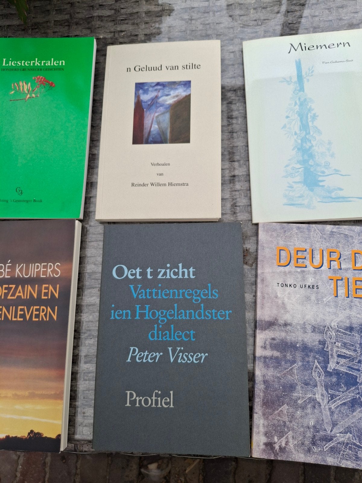 6x Gronings (grunnings), Boeken, Ophalen of Verzenden, Zo goed als nieuw, Nederland