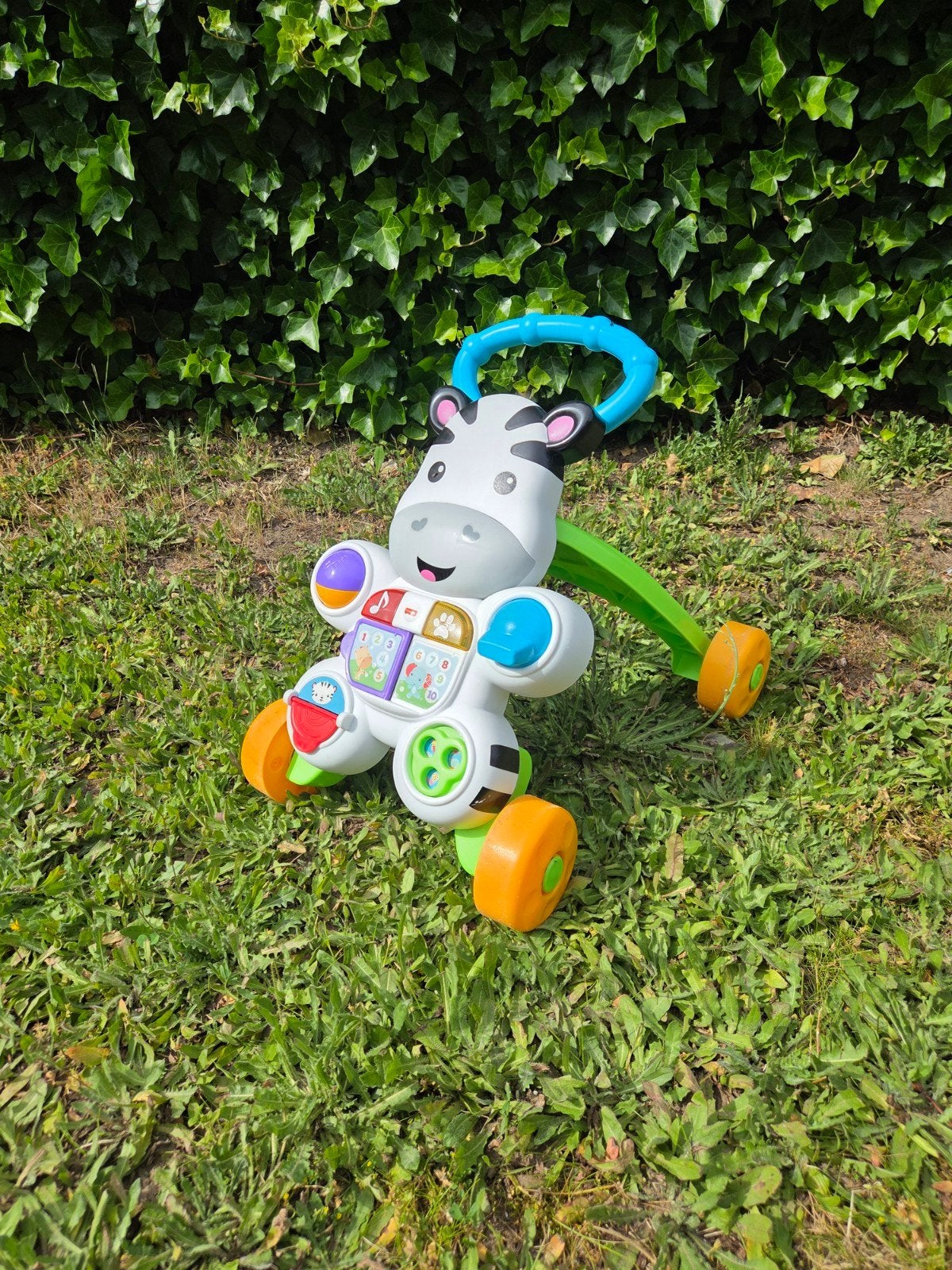Fisher-Price Zebra Loopwagen - Duits gesproken, Ophalen, Gebruikt, Overige typen, Met licht