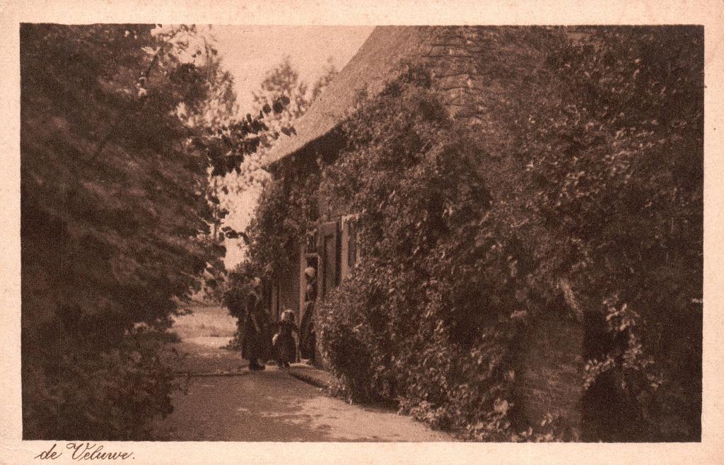 De Veluwe  131279, Ophalen of Verzenden, 1940 tot 1960, Ongelopen, Gelderland