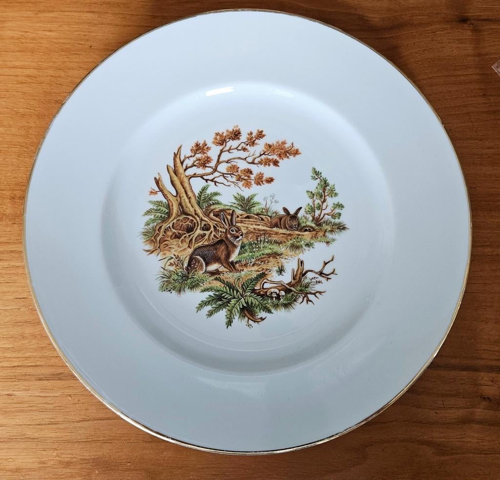 Tjechisch porselein. Prachtig bord., Ophalen of Verzenden