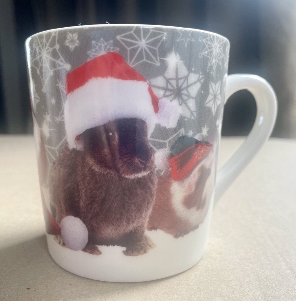 Kopje/mokje konijnen/cavia's, Gebruikt, Verzenden, Keramiek, Mok
