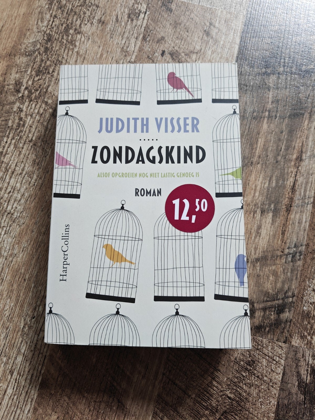 Zondagskind - Judith Visser (Roman), Boeken, Ophalen of Verzenden, Zo goed als nieuw, Judith Visser, Nederland