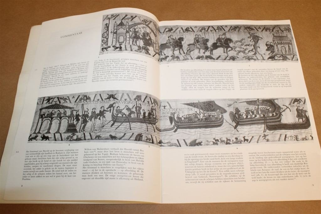 Het Tapijt van Bayeux — Middeleeuwse Borduurkunst 1066, Ophalen of Verzenden, Gelezen, Europa