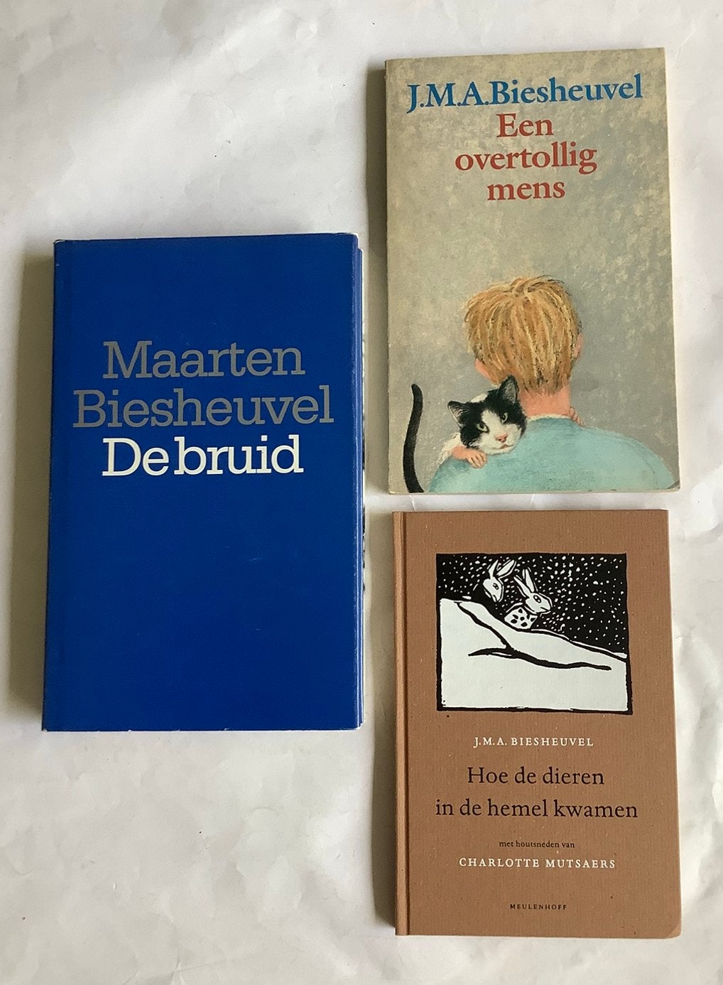 MAARTEN BIESHEUVEL - 3 titels, Boeken, Ophalen of Verzenden, Gelezen
