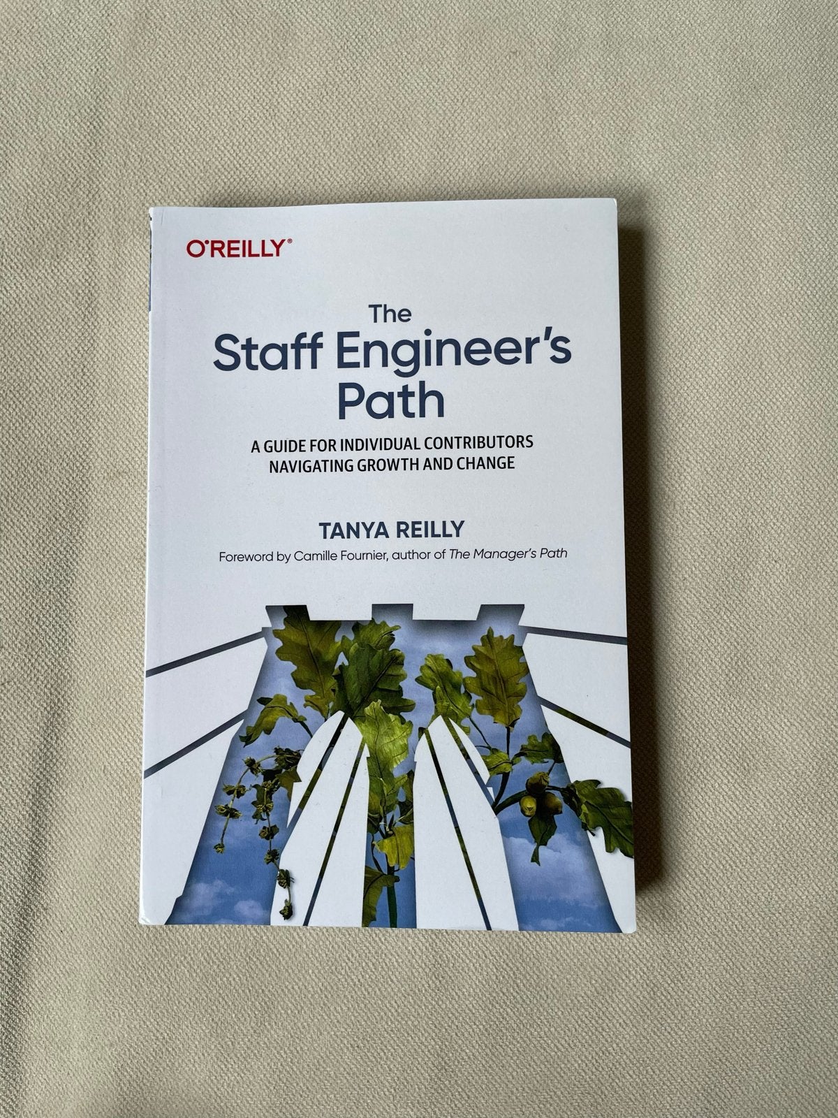 The Staff Engineer's Path - O'Reilly, Ophalen of Verzenden, Zo goed als nieuw