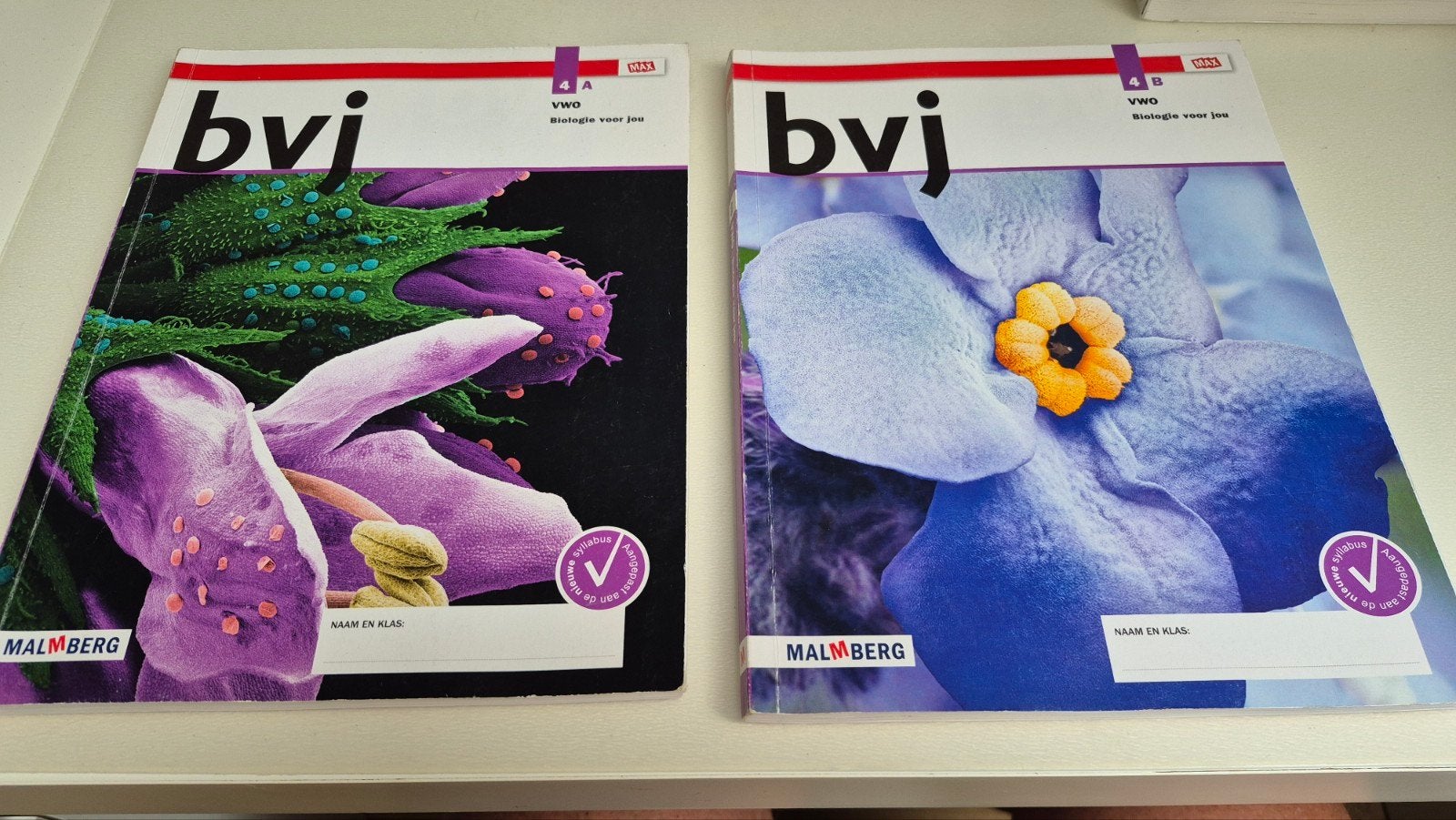 bjv VWO Biologie voor jou 4A en 4B bundel, Boeken, Ophalen of Verzenden, Zo goed als nieuw, Overige niveaus, Nederlands
