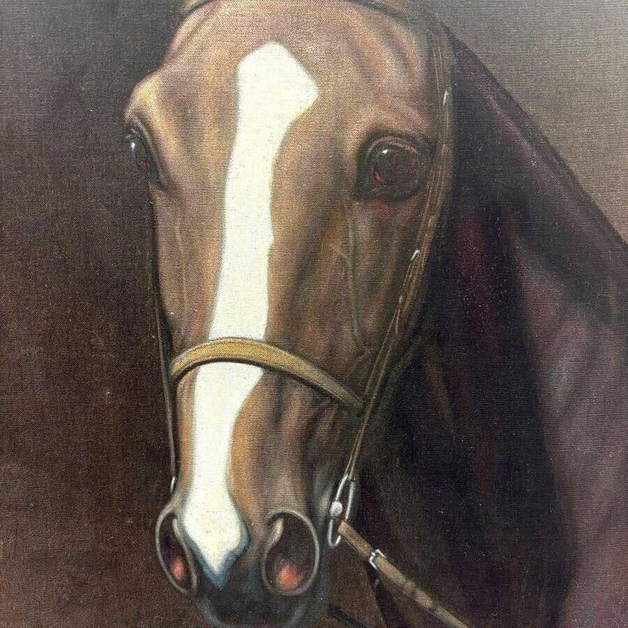 G.J. Adema (1898-1981), portret paardenhoofd, Ophalen of Verzenden