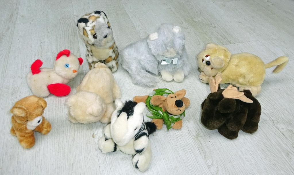 Gratis knuffels! - kat poes panter eland hond zebra kitten, Ophalen, Overige merken, Overige karakters, Zo goed als nieuw