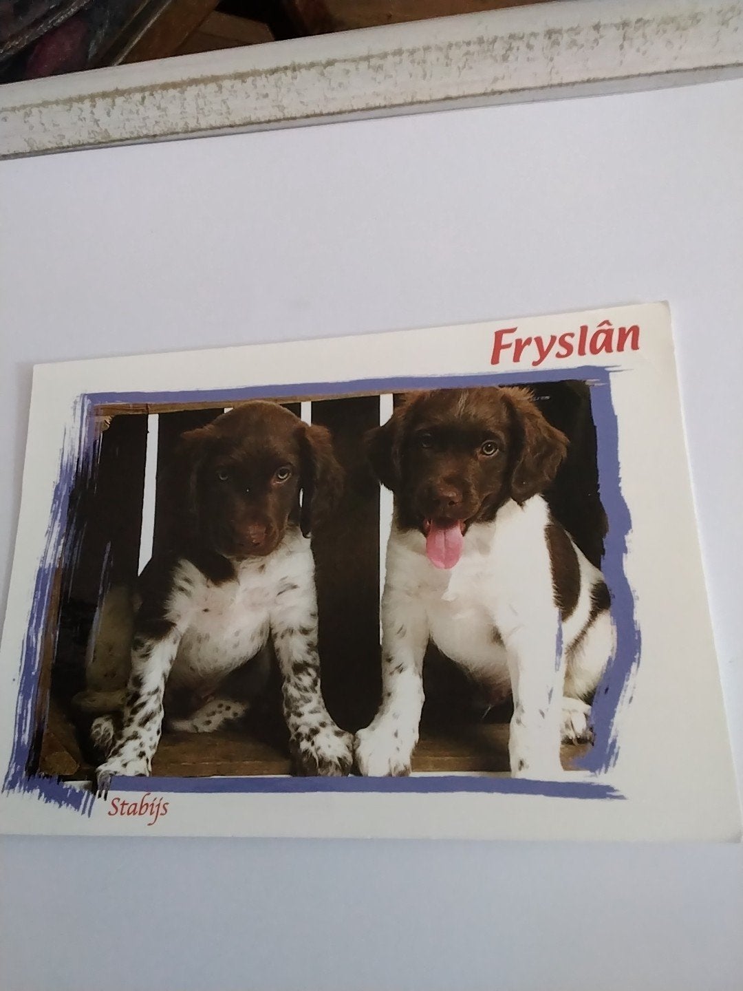 Oude ansichtkaart: Twee schattige Friese Stabij pups, Ophalen of Verzenden