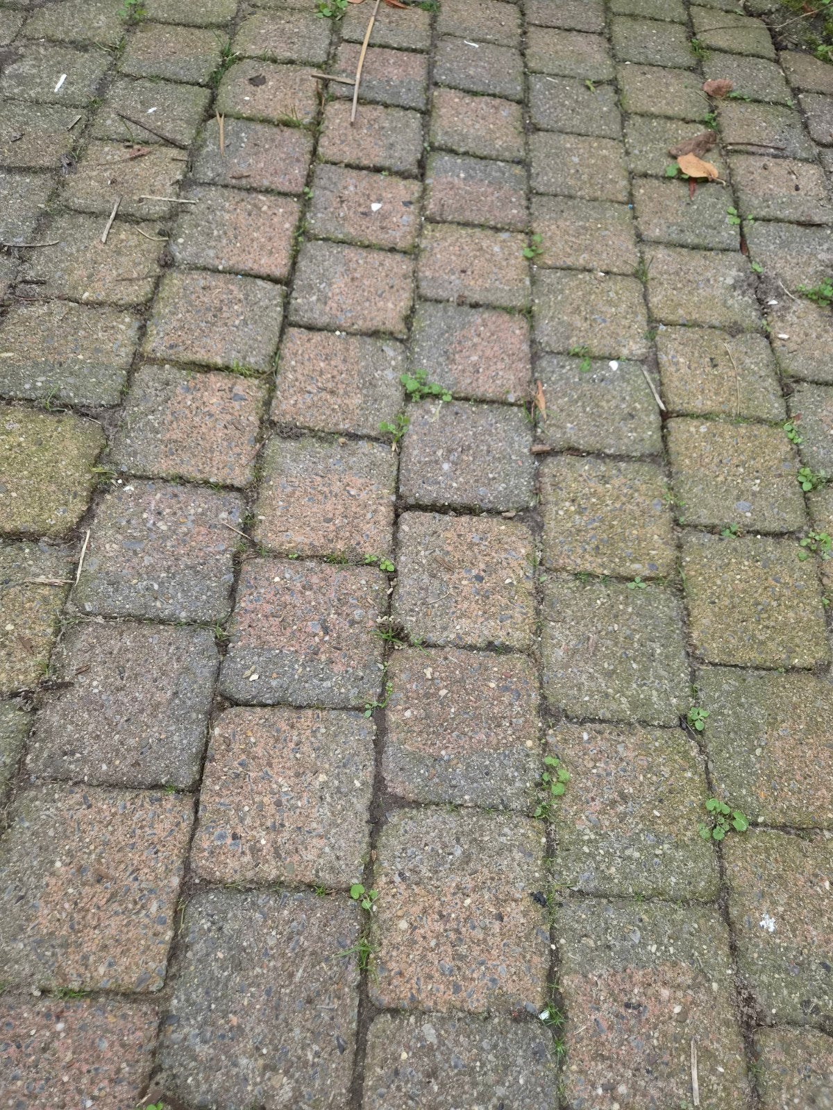 koppelstones, Tuin en Terras, Ophalen of Verzenden, Gebruikt, 10 m² of meer, Klinkers