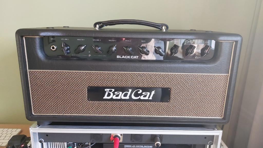 Bad Cat Black Cat (2024), Ophalen, Zo goed als nieuw, Minder dan 50 watt