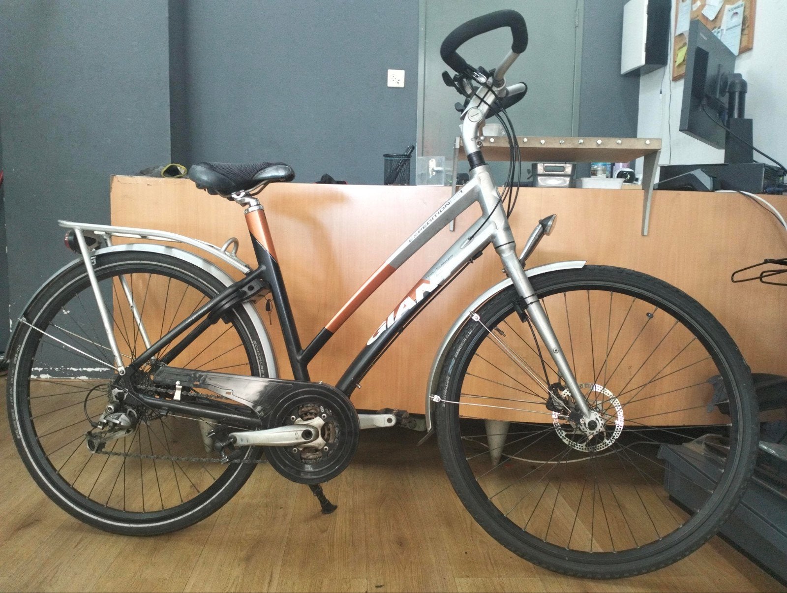 Giant Expedition Damesfiets, Fietsen en Brommers, Ophalen, Gebruikt, Meer dan 20 versnellingen, Schijfrem