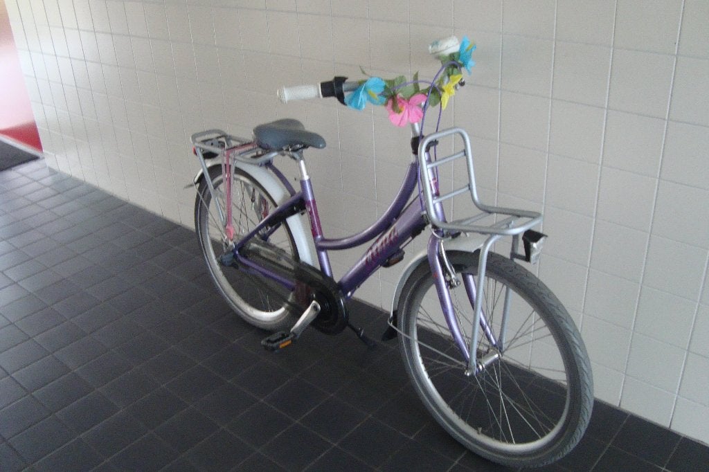 Zgan vol. alum. Batavus diva 24 inch. (mooie kleur stelling), Fietsen en Brommers, Fietsen | Meisjes, Ophalen of Verzenden, Zo goed als nieuw
