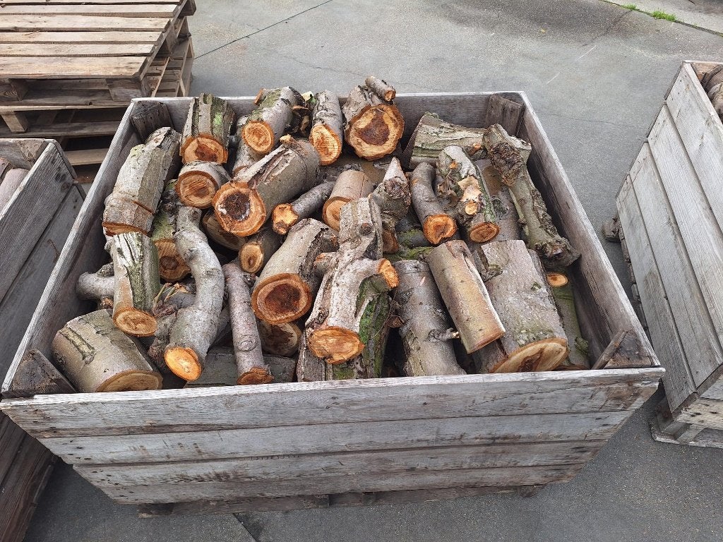 Haardhout, Brandhout, Stookhout., 6 m³ of meer, Ophalen, Overige houtsoorten, Blokken