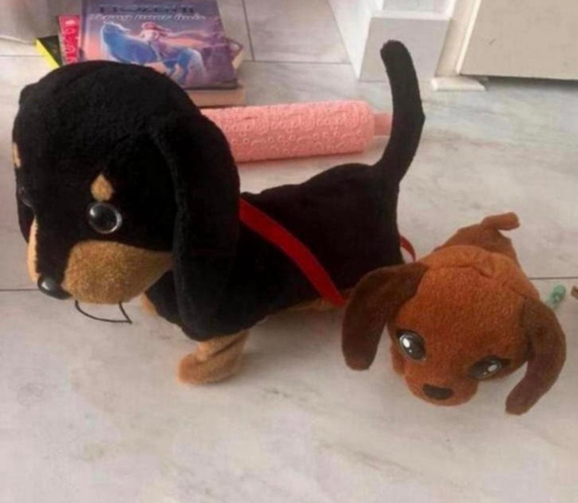 Lopende interactive hondje, Ophalen of Verzenden, Zo goed als nieuw, Hond