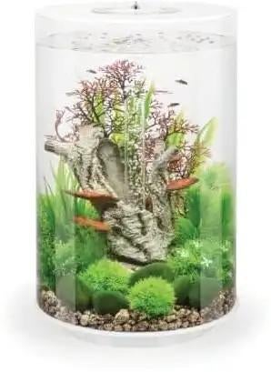 BIORP aquarium wit 30 liter, Dieren en Toebehoren, Vissen | Aquaria en Toebehoren, Ophalen, Leeg aquarium