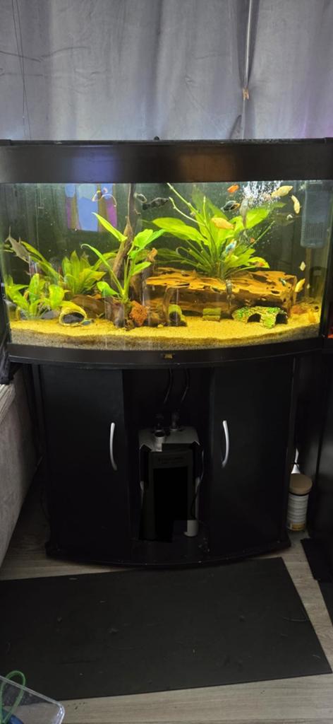Juwel Vision 180, Dieren en Toebehoren, Vissen | Aquaria en Toebehoren, Ophalen, Gebruikt, Leeg aquarium
