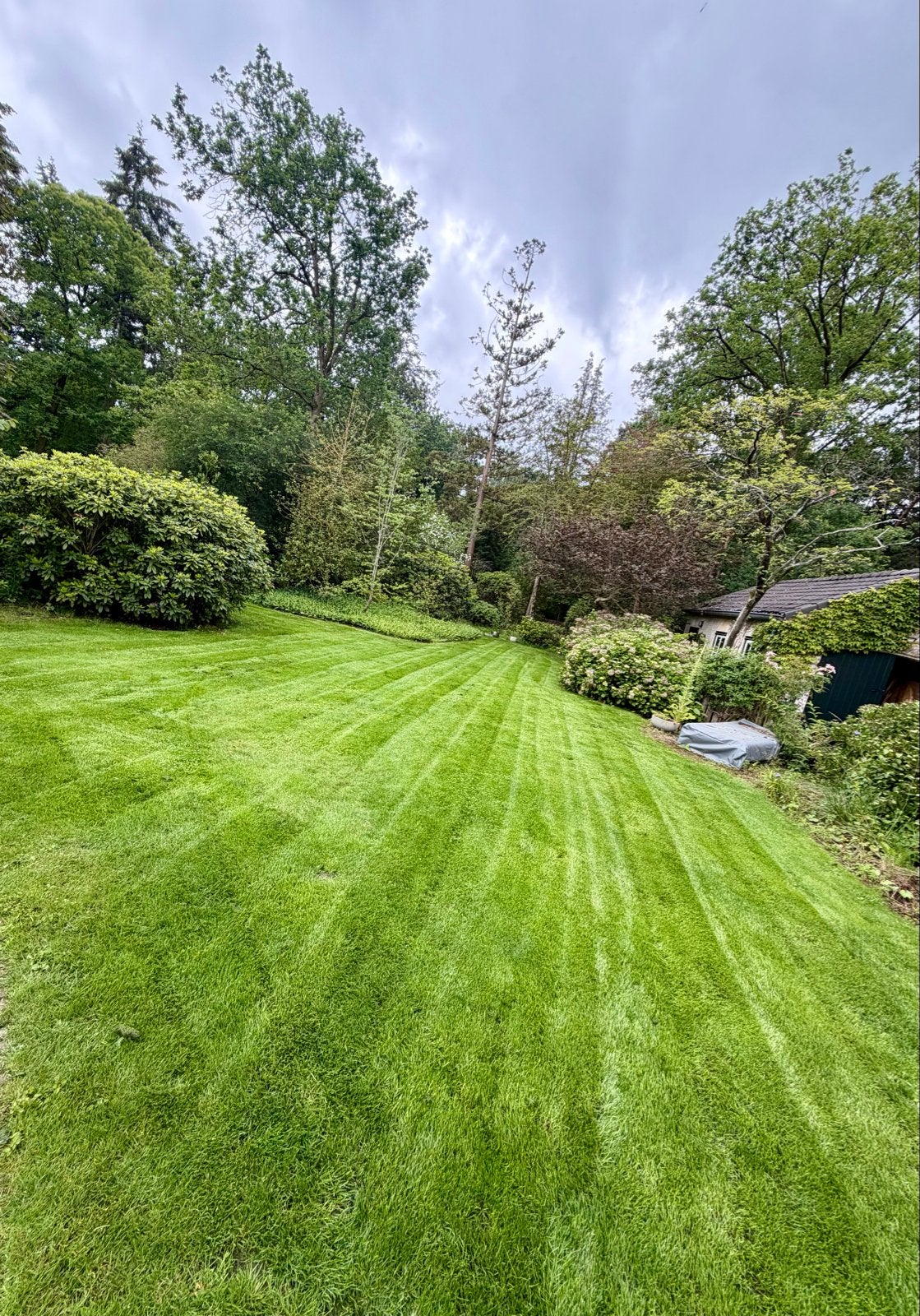Tuinman & Tuinelektra – Uw tuin strak, veilig en verzorgd!, Tuinonderhoud of Snoeiwerk