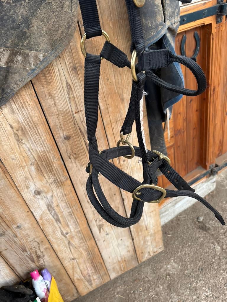 Trainings halster, Dieren en Toebehoren, Paarden en Pony's | Hoofdstellen en Tuigage, Ophalen, Zo goed als nieuw