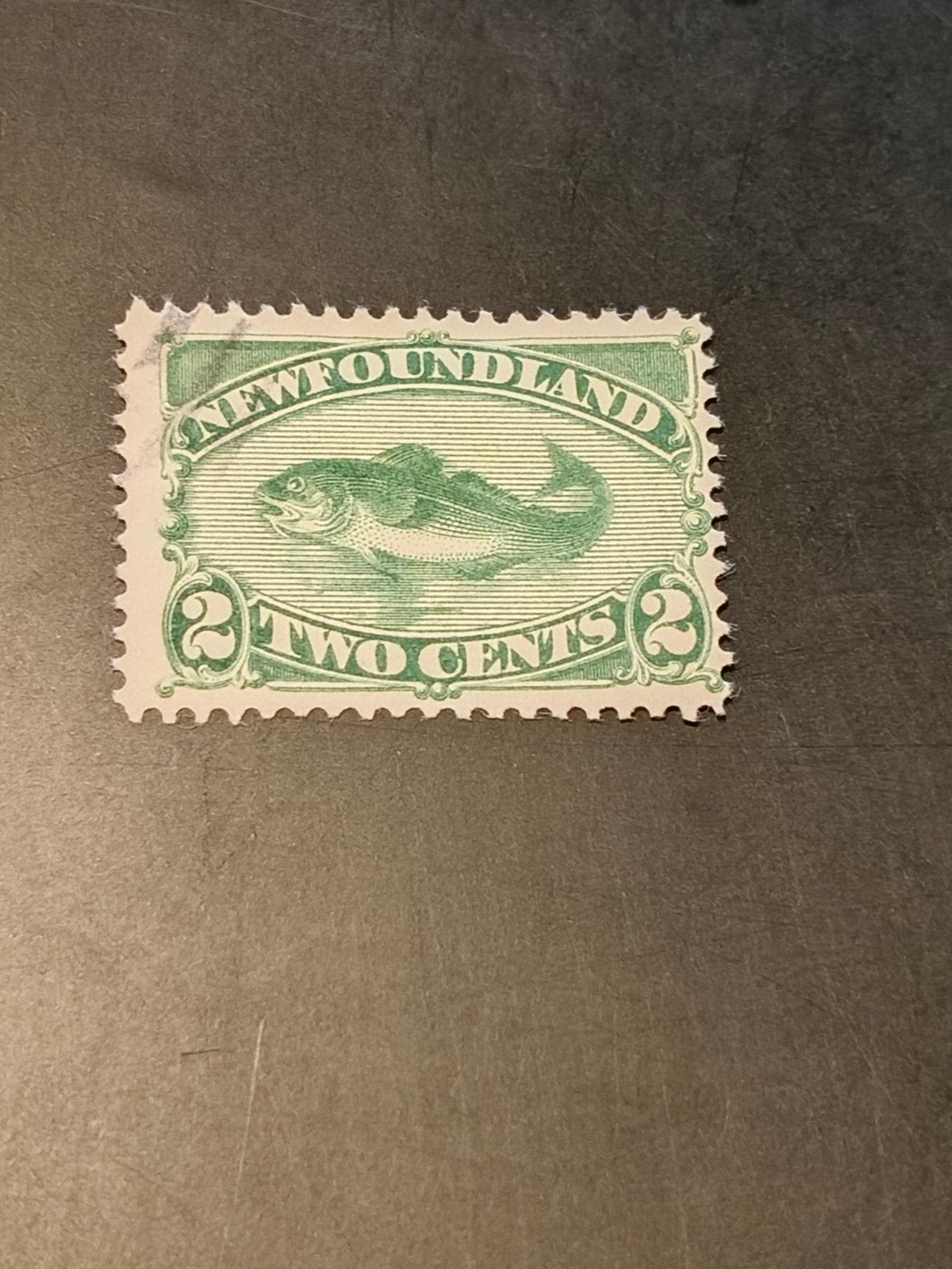 Newfoundland 2 cents 1882, Sg 46, Ophalen of Verzenden, Noord-Amerika