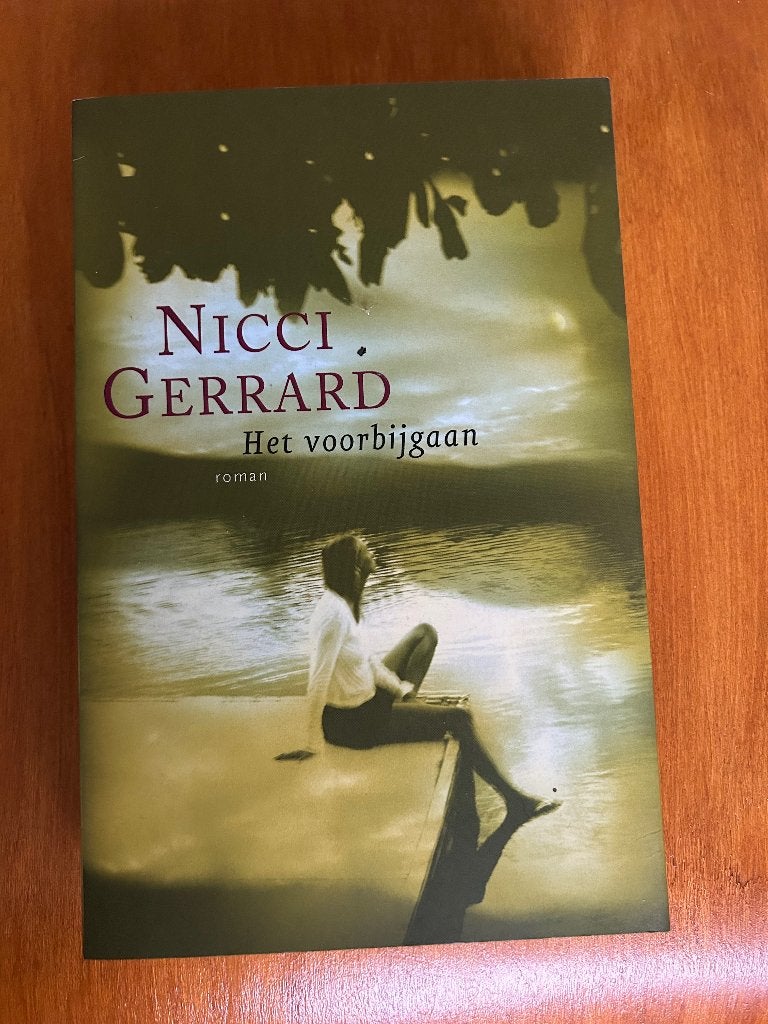 Nicci Gerard - Het voorbijgaan, Boeken, Ophalen of Verzenden, Zo goed als nieuw