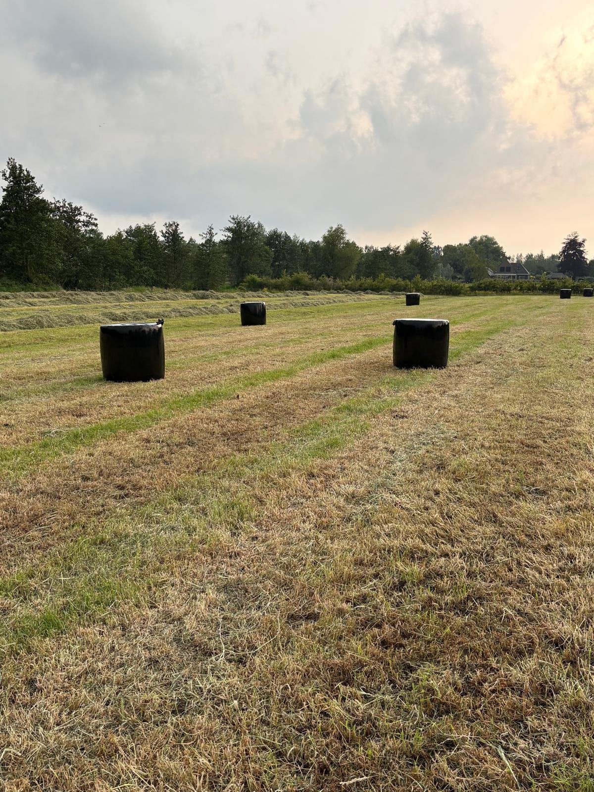 Midi voordroog kuilbalen (biologisch), Dieren en Toebehoren