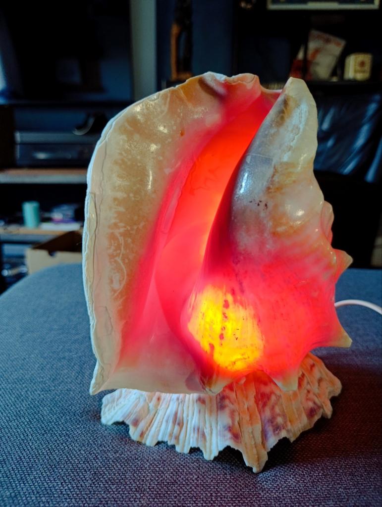 Vintage schelp lamp, Ophalen of Verzenden, Minder dan 50 cm