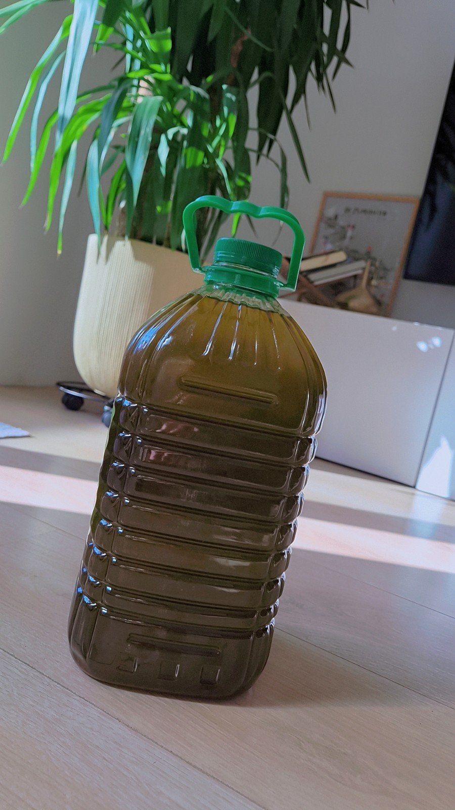 5L olijfolie Al ayoun Marokko, Ophalen of Verzenden