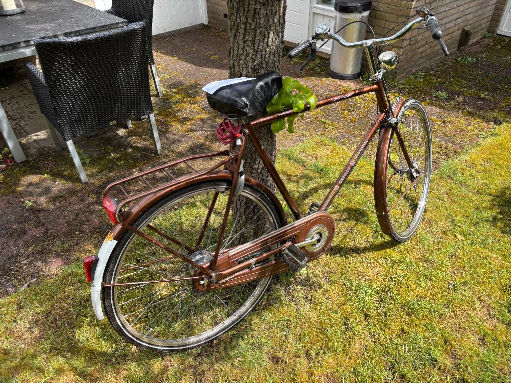 Fiets Gazelle Bruin, Fietsen en Brommers, Fietsen | Heren | Herenfietsen, Ophalen, Gebruikt, Versnellingen, 57 tot 61 cm
