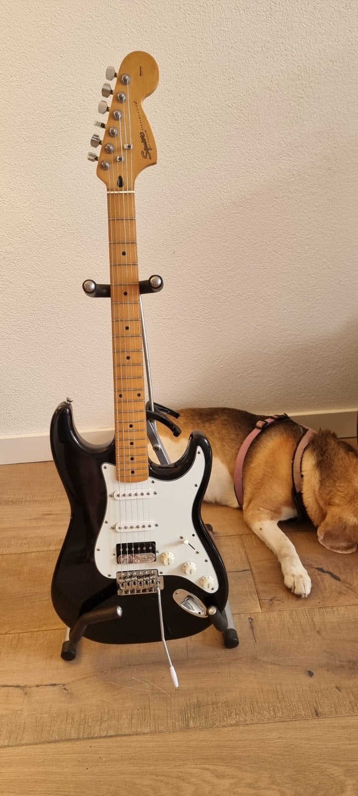 Squier Stratocaster Standard 1999 - HSS upgrade, onderhouden, Ophalen of Verzenden, Solid body, Fender
