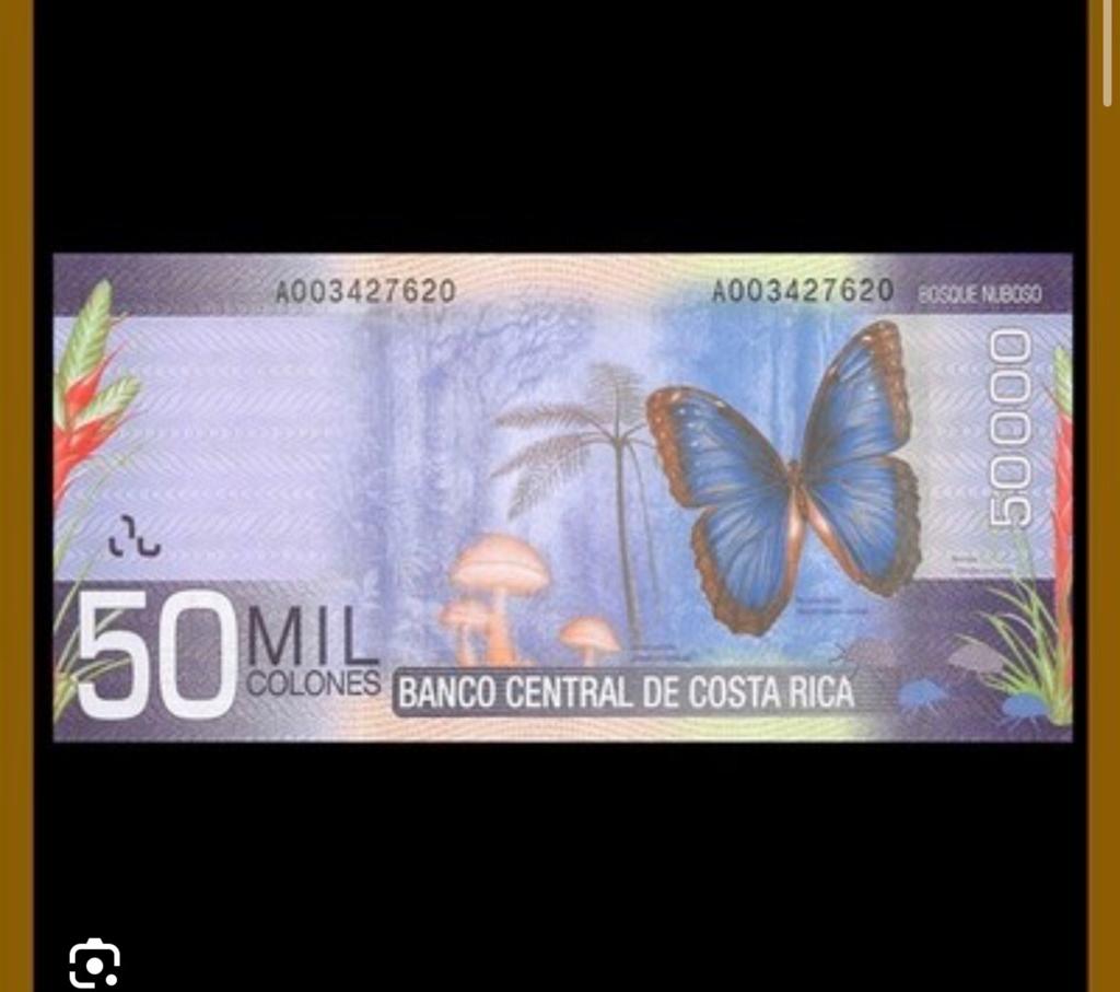 Gezocht: Costa Rica 50000 Colon biljet (Bosque Nuboso), Ophalen of Verzenden, Midden-Amerika, Los biljet