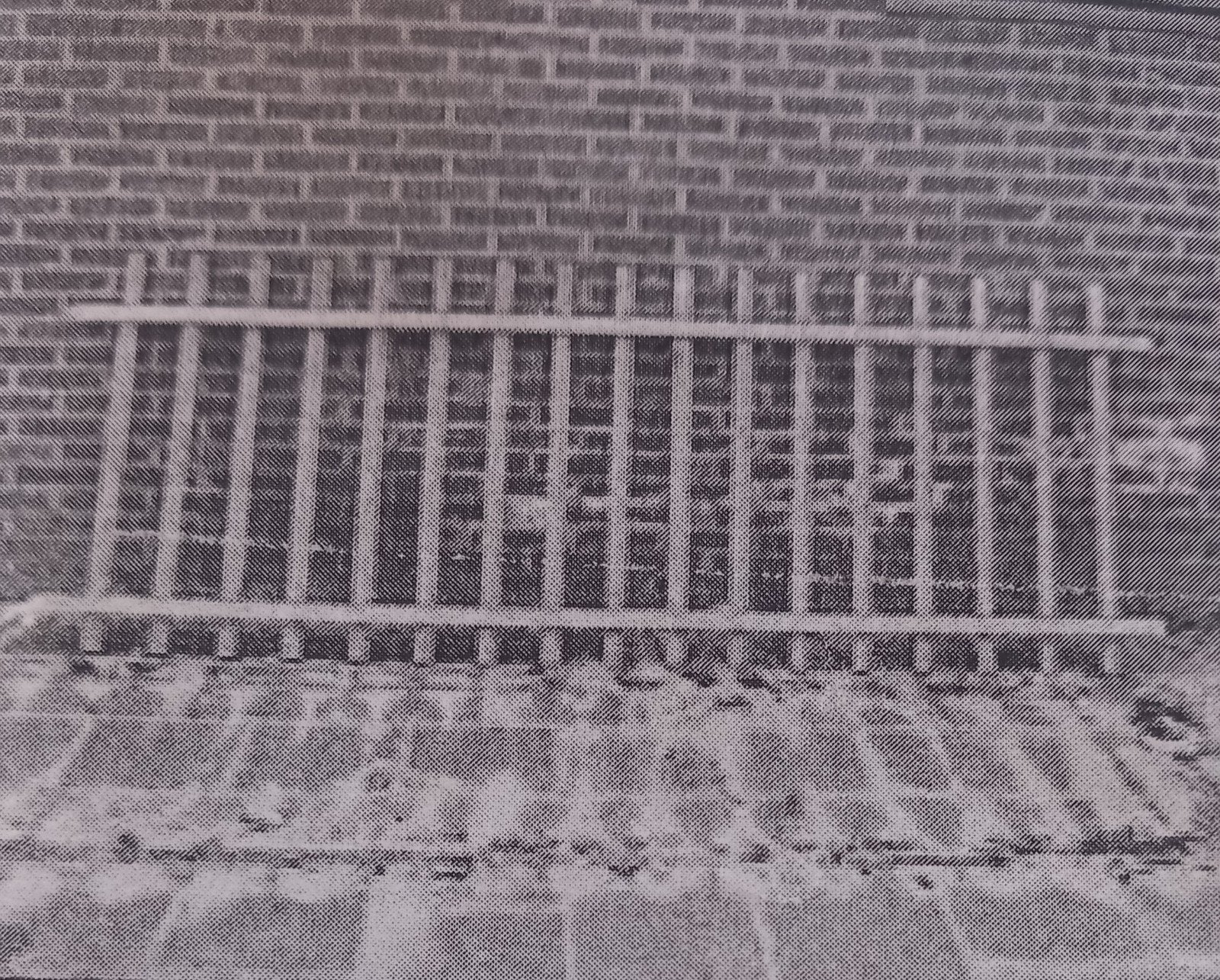 Stalen Thermisch Verzinkt Hekwerk, Ophalen, Minder dan 10 meter, Raster