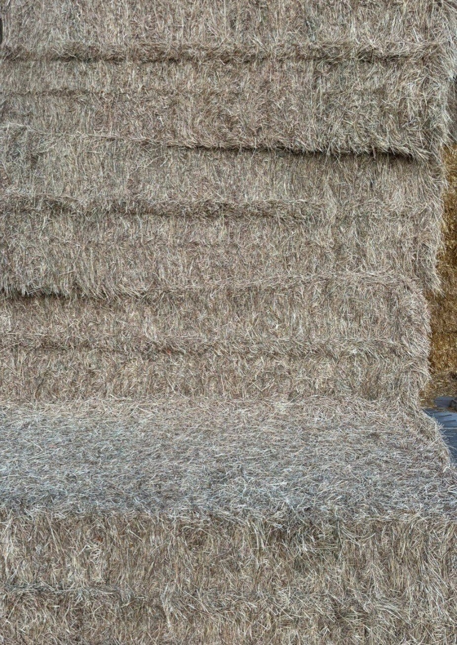 grote balen hooi, Dieren en Toebehoren, Ophalen of Verzenden, Vee
