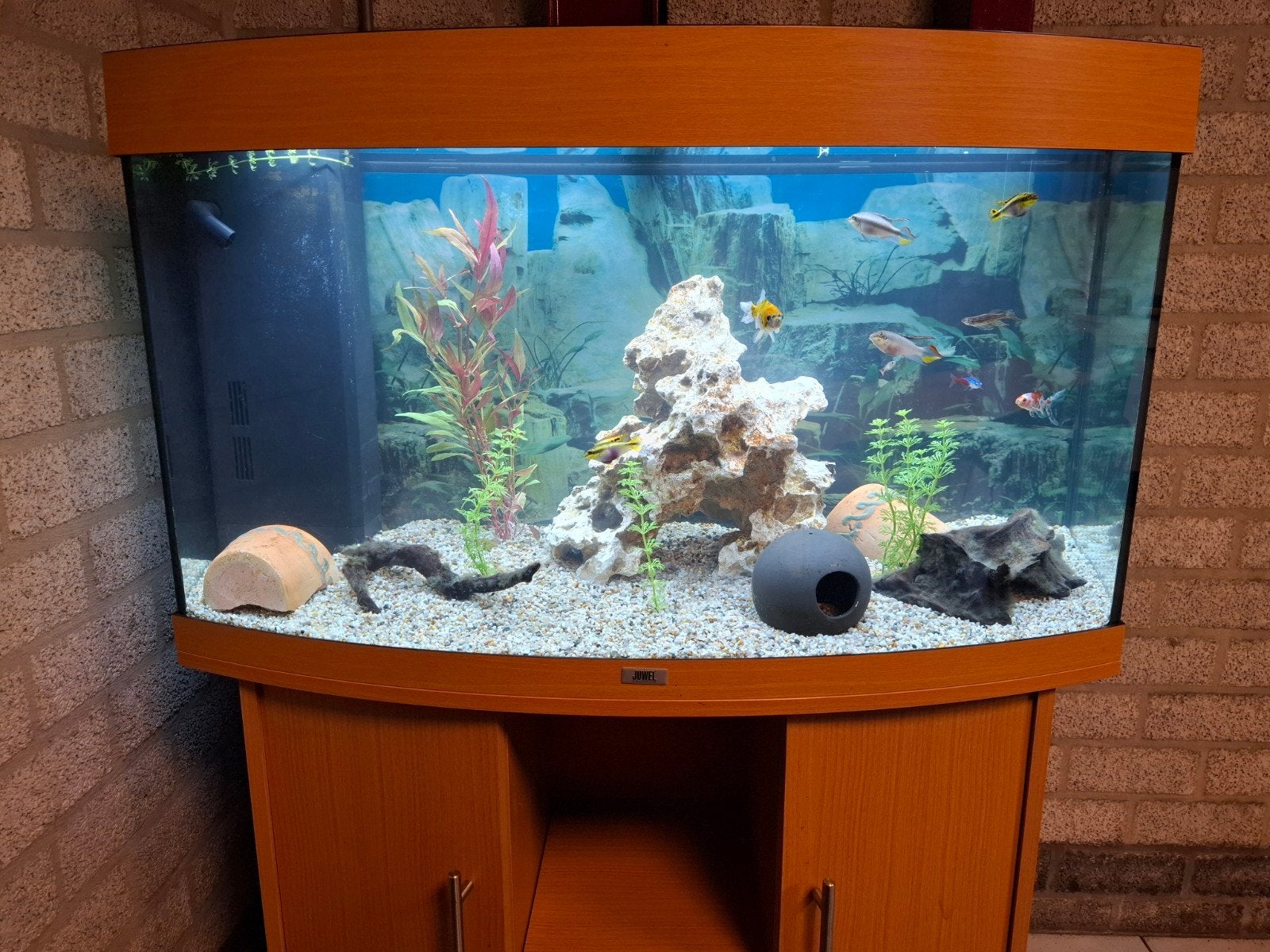 Juwel Aquarium Vision 180 Led 92x41x55 cm, Dieren en Toebehoren, Ophalen, Gevuld zoetwateraquarium, Juwel, Inclusief vissen