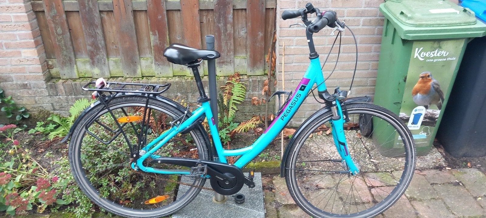 Pegasus fiets, Gebruikt, Velgrem, Versnellingen, 50 tot 53 cm