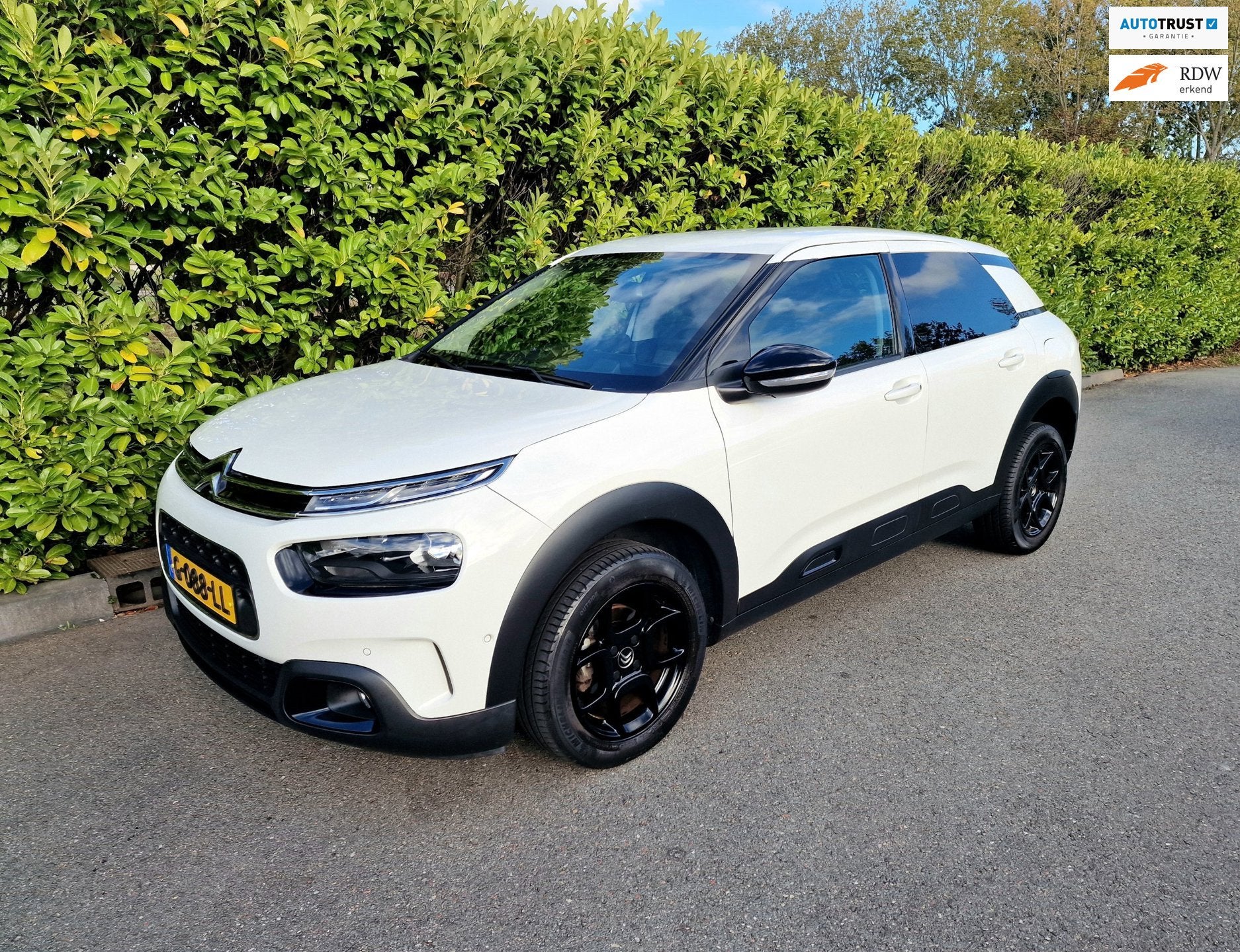 Citroen C4 Cactus 1.2 Business Plus Automaat Airco, Auto's, Dealer onderhouden, Stof, Gebruikt, Origineel Nederlands